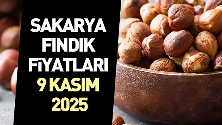 Sakarya Fındık Fiyatları 9 Kasım 2025: Dengeli Seyir Devam Ediyor