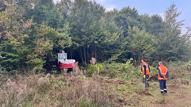 Salıpazarı Belediyesi'nden Can Dostlara Sıcak Yuva