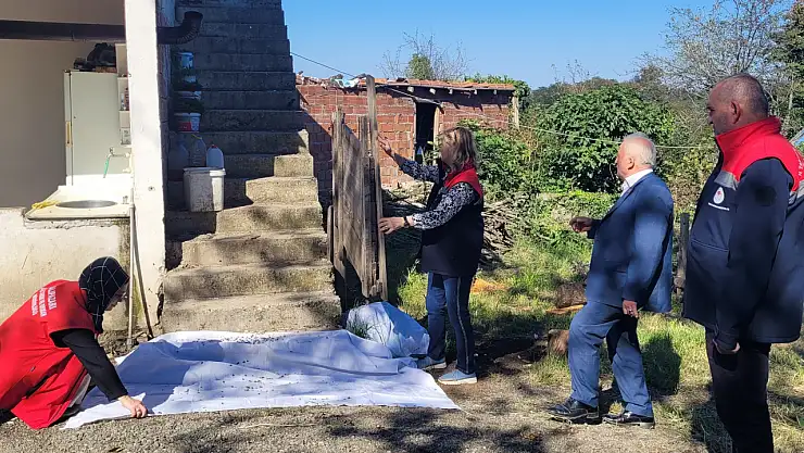 Salıpazarı'nda kahverengi kokarca ile mücadele sürüyor