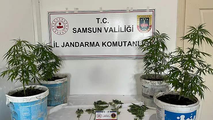 Salıpazarı'nda uyuşturucu operasyonu