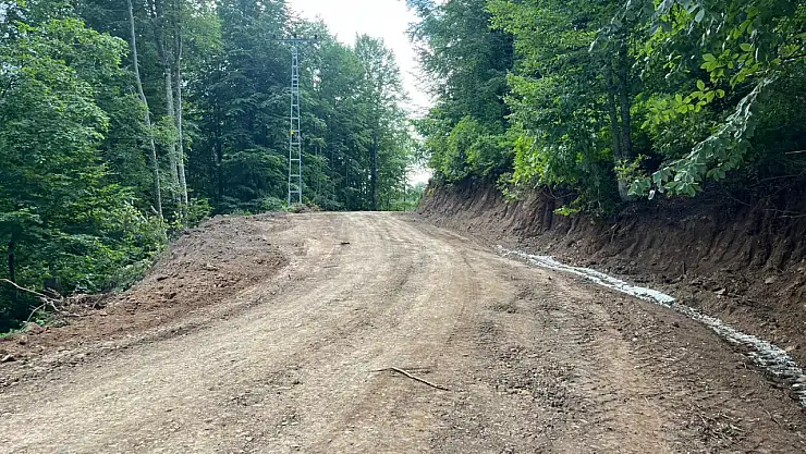 Salıpazarı Yayla Mahallesi'nde Yol Seferberliği