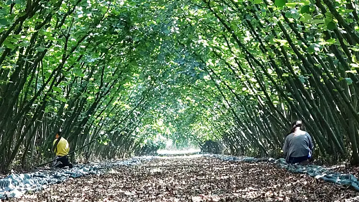 Samsun'a 8,7 Milyon Liralık Hibe Desteği