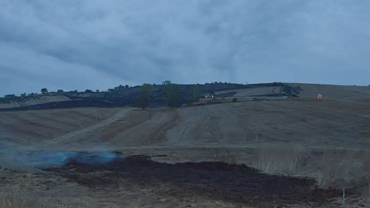 Samsun'da 150 dekar alan zarar gördü