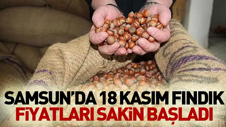 Samsun'da 18 Kasım fındık fiyatları sakin başladı