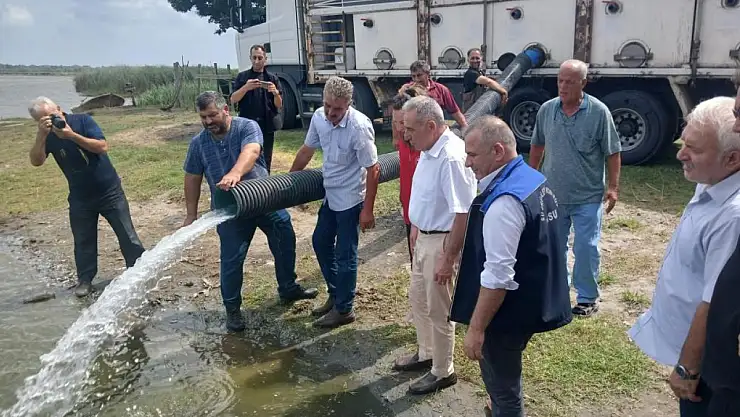 Samsun'da 2 Milyon 341 Bin Yavru Sazan Doğal Su Kaynaklarına Bırakıldı