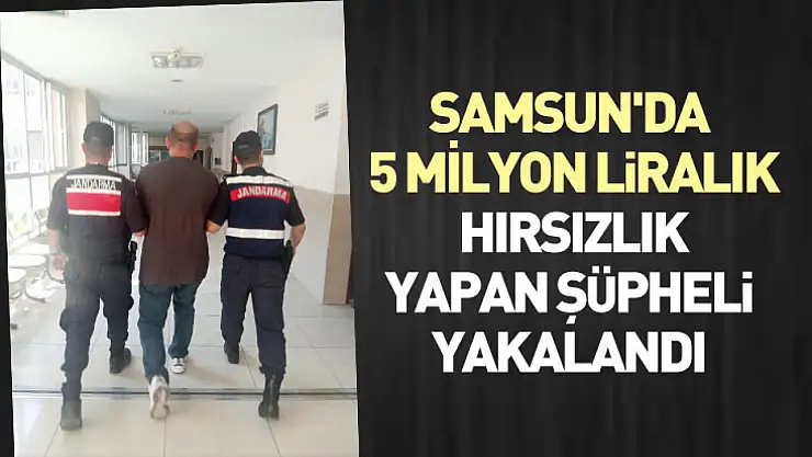 Samsun'da 5 milyon liralık hırsızlık yapan şüpheli yakalandı