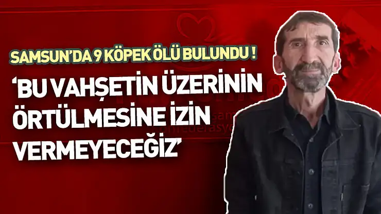 Samsun'da 9 köpek ölü bulundu ! 'Bu vahşetin üzerinin örtülmesine izin vermeyeceğiz'