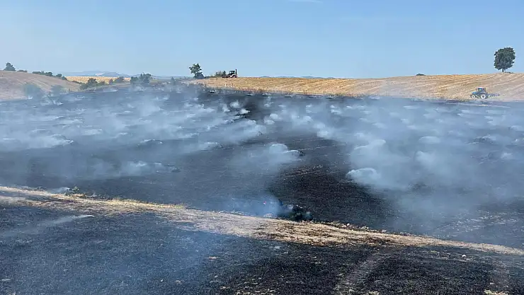 Samsun'da Anız Yangınları Tarlaları Kül Etti