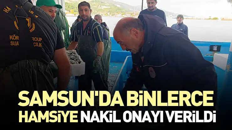 Samsun'da binlerce hamsiye nakil onayı verildi