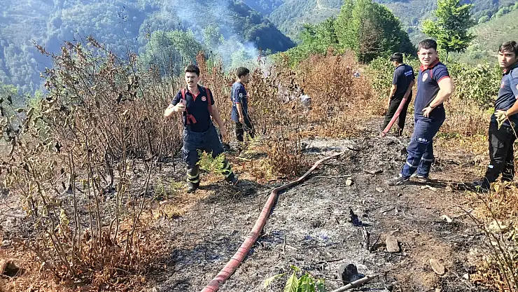 Samsun'da çıkan orman yangını büyümeden söndürüldü