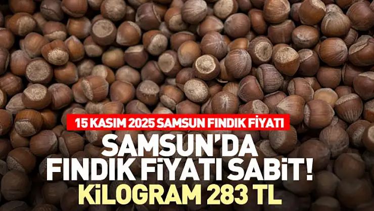 Samsun'da fındık fiyatı sabit! Kilogram 283 TL - 15 Kasım 2025 Samsun Fındık Fiyatı