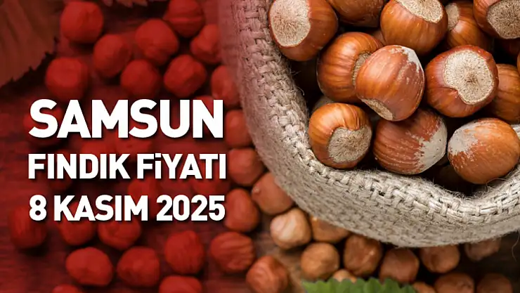 Samsun'da Fındık Fiyatları Yükseliyor: 8 Kasım 2025 Güncel Rakamlar