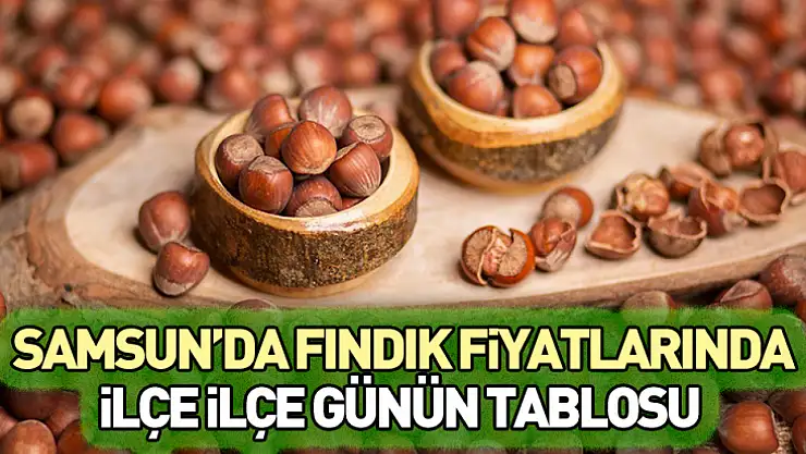 Samsun'da Fındık Fiyatlarında İlçe İlçe Günün Tablosu