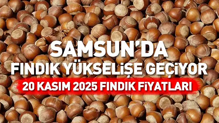 Samsun'da Fındık yükselişe geçiyor | 20 Kasım 2025 Fındık Fiyatları