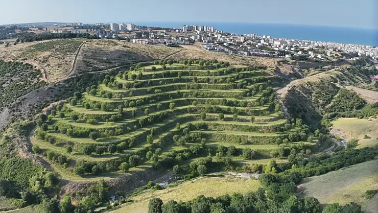 Samsun'da Harfiyatta Dijital Dönüşüm Başladı