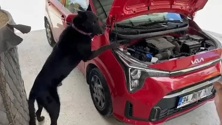 Samsun'da kokain ele geçirildi