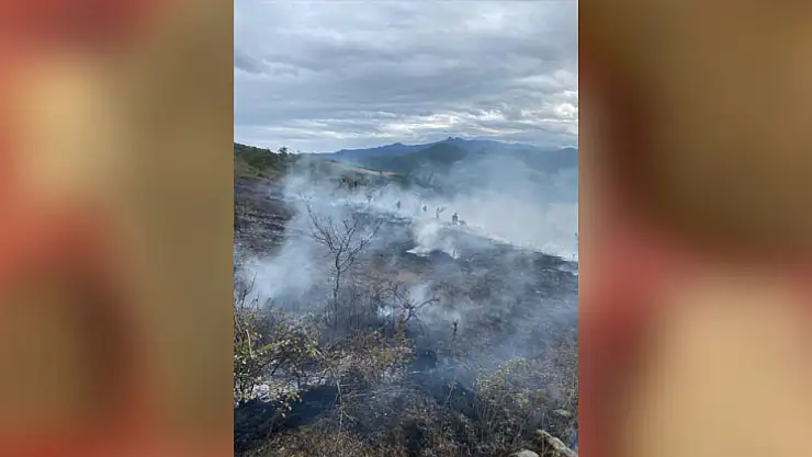 Samsun'da korkutan yangın