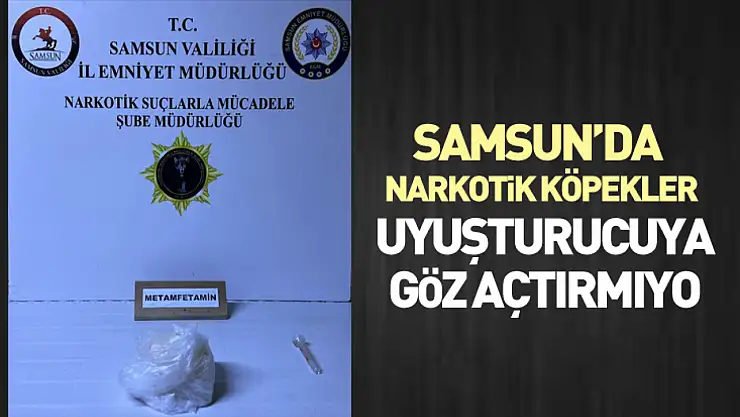 Samsun'da Narkotik köpekler uyuşturucuya göz açtırmıyor