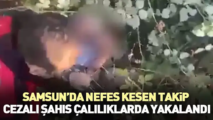 Samsun'da Nefes Kesen Takip: 7 Yıl Cezalı Şahıs Çalılıklarda Yakalandı