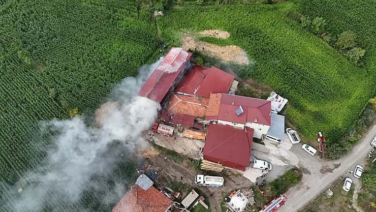 Samsun'da samanlık yangını