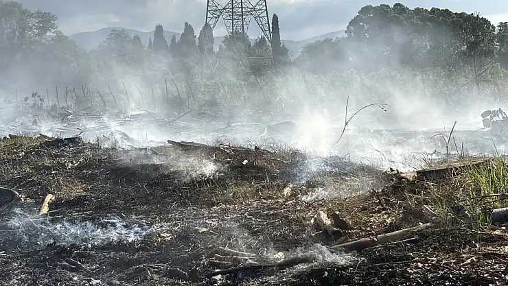 Samsun'da tarlada yangın çıktı