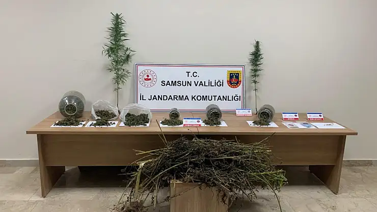 Samsun'da uyuşturucu operasyonu : 1 gözaltı