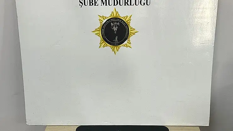 Samsun'da uyuşturucu operasyonunda 2 kişi yakalandı