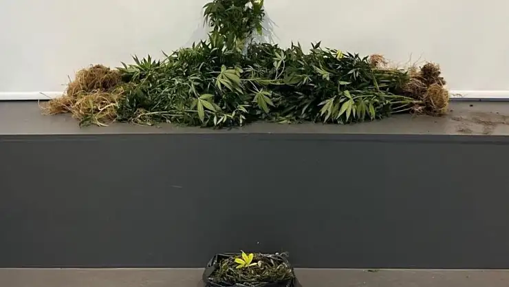 Samsun'da Uyuşturucu Tacirlerine Geçit Yok