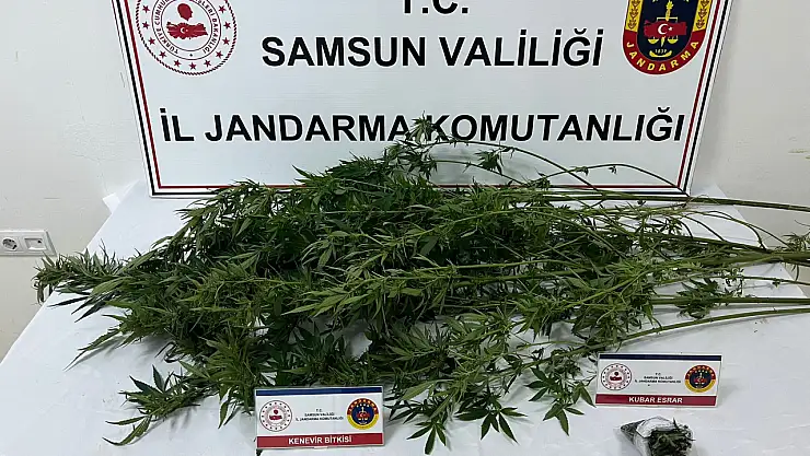 Samsun'da uyuşturucuya darbe
