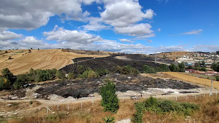 Samsun'da yaklaşık 620 dekar tarım arazisi zarar gördü