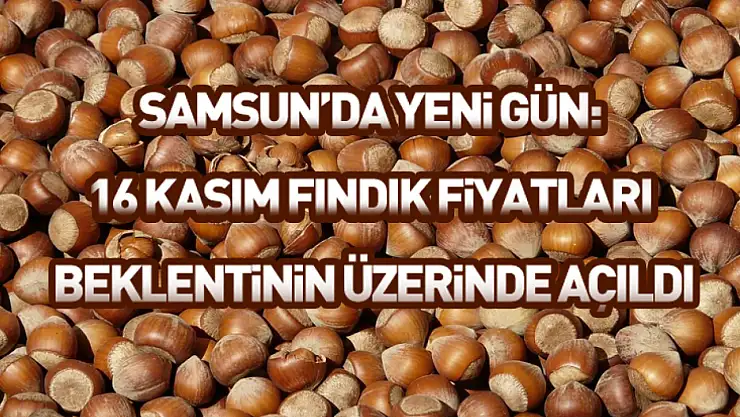 Samsun'da yeni gün: 16 Kasım fındık fiyatları beklentinin üzerinde açıldı