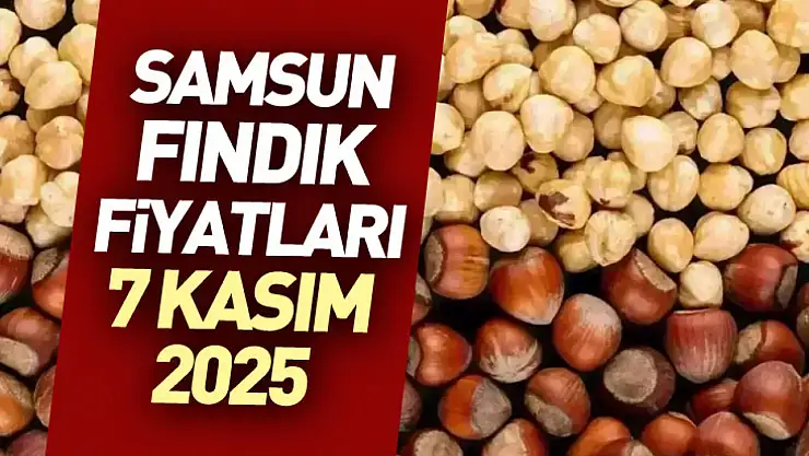 Samsun Fındık Fiyatları 7 Kasım 2025: Fiyatlar dikkat çekiyor