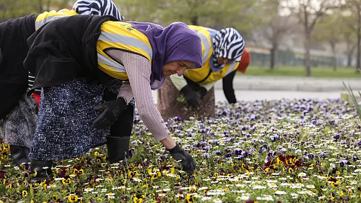 Samsun'un renk kaynakları!
