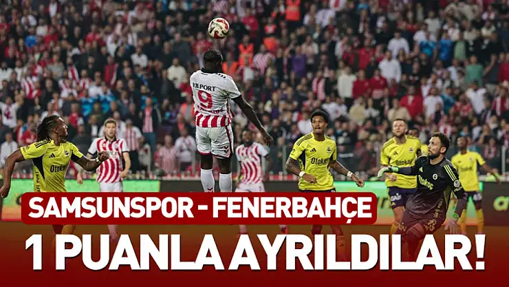 Samsunspor ile Fenerbahçe yenişemedi: 0-0