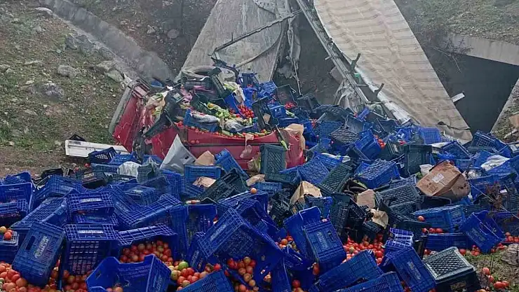 Sebze yüklü tır devrildi