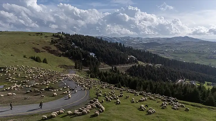 Sektöre nefes aldırması bekleniyor