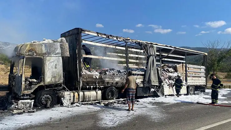 Seyir halindeki tır alev alev yandı
