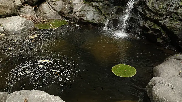 Sıcaktan bunalanlara alternatif rota
