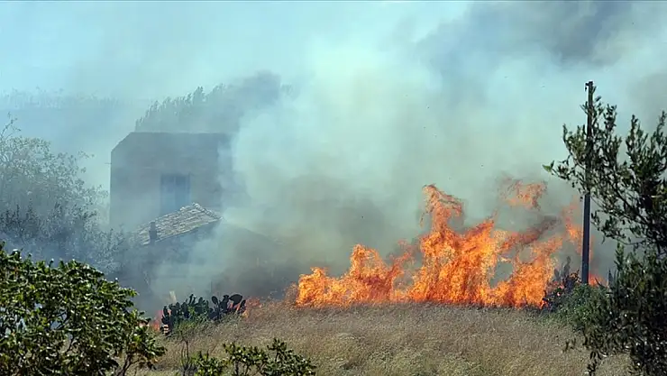 Sicilya Adası orman yangınlarıyla mücadele ediyor