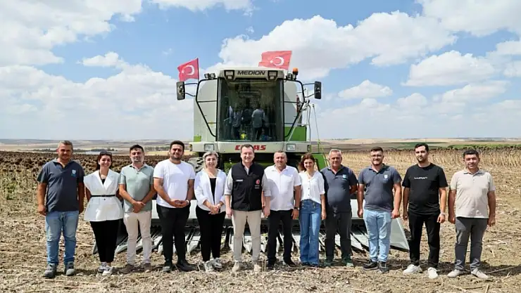 Silivri'de yaklaşık bin 500 dekar alanda ayçiçeği hasadı başladı