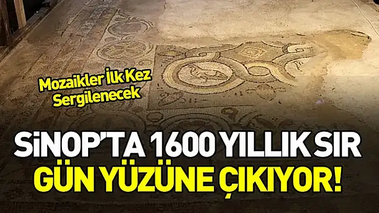 Sinop'ta 1600 Yıllık Mozaikler Yeni Ziyaretçi Merkezinde Sergilenecek