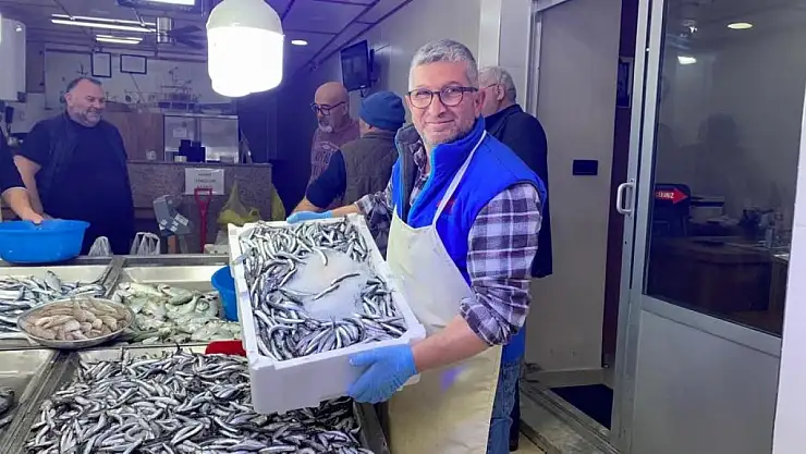 Sinop'ta hamsi fiyatları yarıya düştü