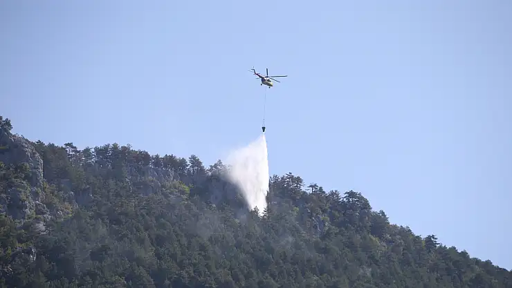 Sinop'ta orman yangınına müdahale sürüyor