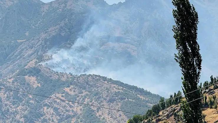 Şırnak'ta alevler kontrol altına alınamıyor
