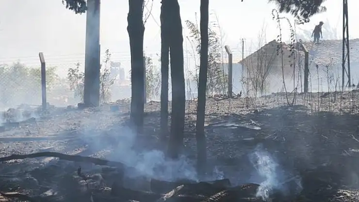 Tarım arazilerinde çıkan yangın kontrol altında