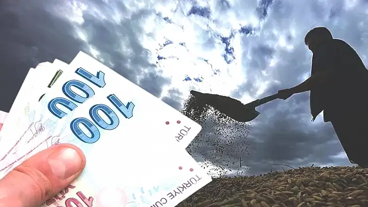 Tarımda destek artıyor