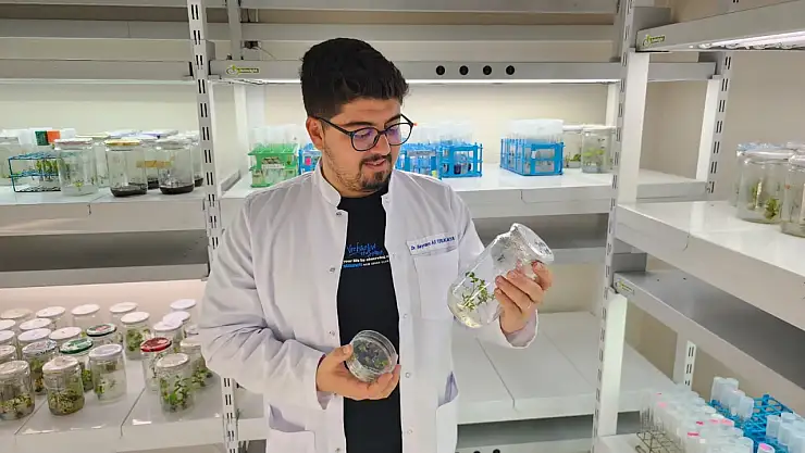 Tarımsal Biyoteknoloji Bölümünden TÜBİTAK 1002-A Başarısı