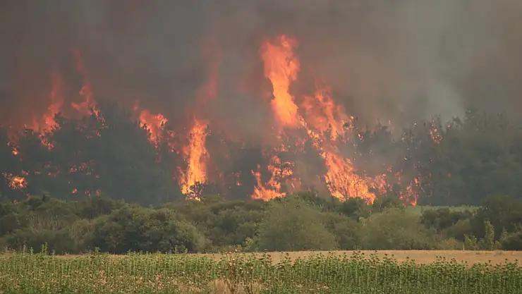 Tekirdağ yangını trafiği olumsuz etkiledi