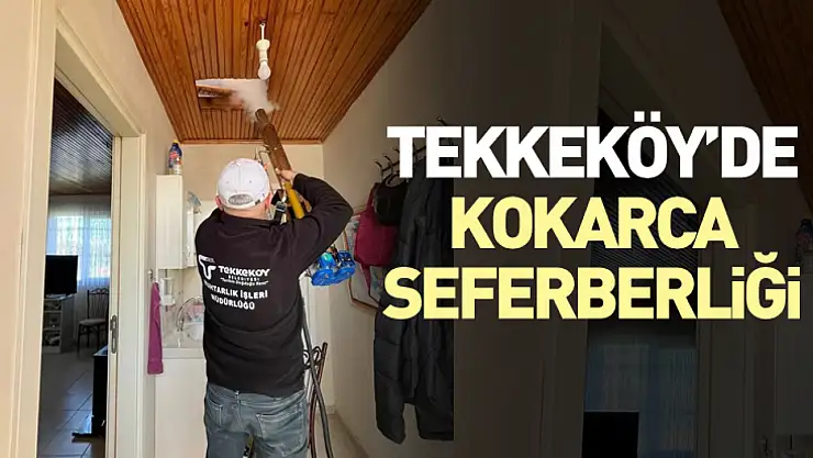 Tekkeköy'de kokarca seferberliği