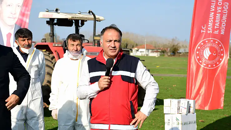 Terme'de Kokarca Mücadelesi : 850 Ev İlaçlandı